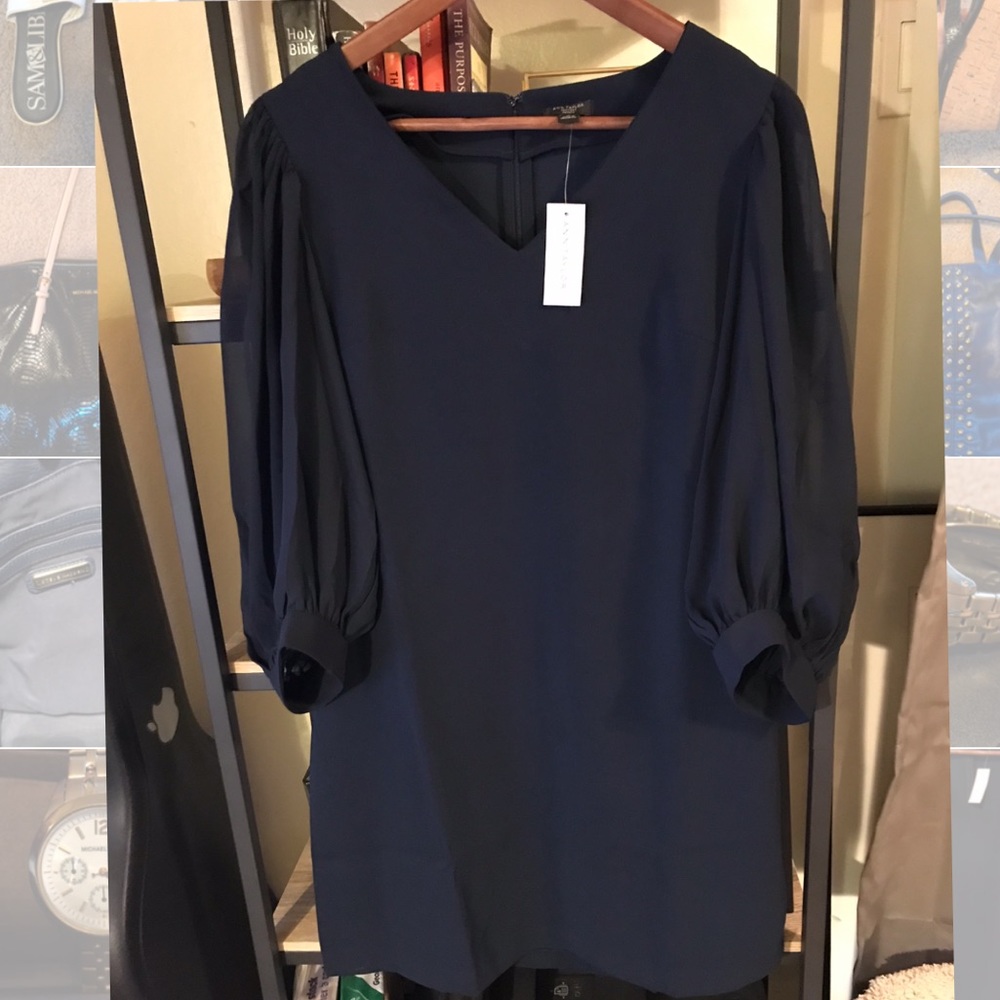 Ann Taylor dress